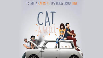 Cat Awol
