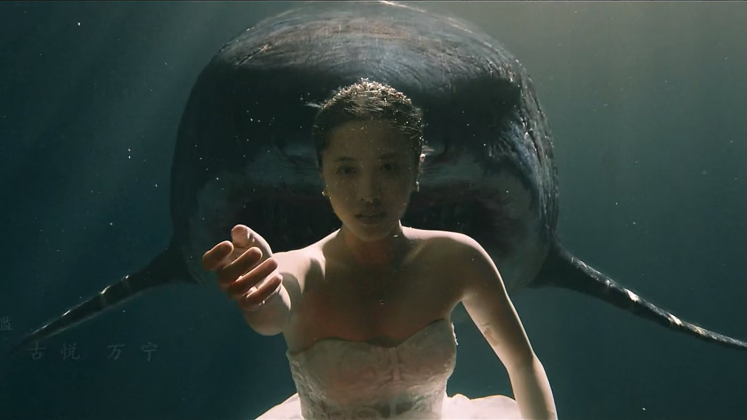 Escape Of Shark